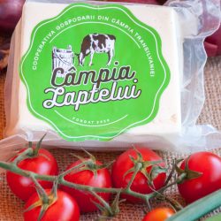Telemea Câmpia Laptelui
