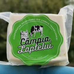 Telemea Câmpia Laptelui
